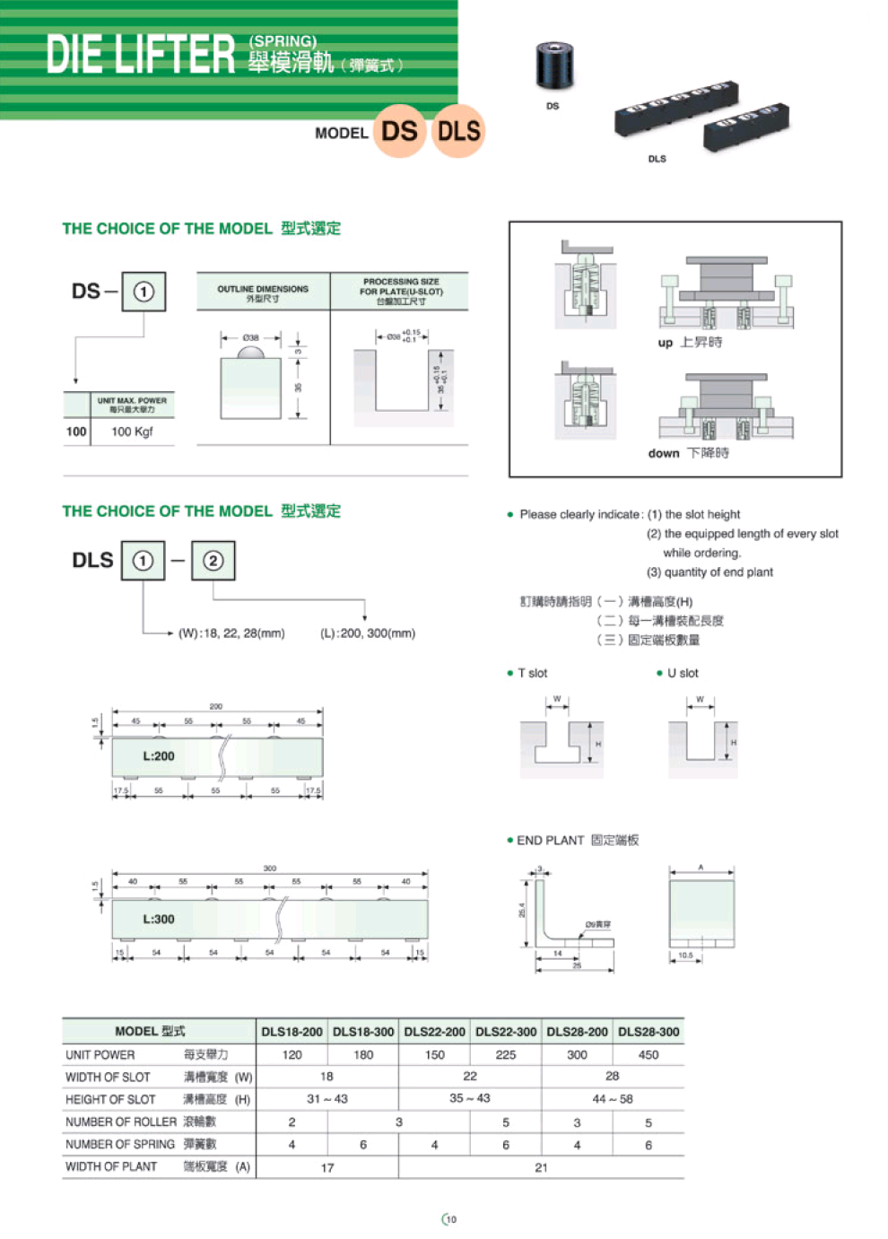 DS DLS舉模器.png